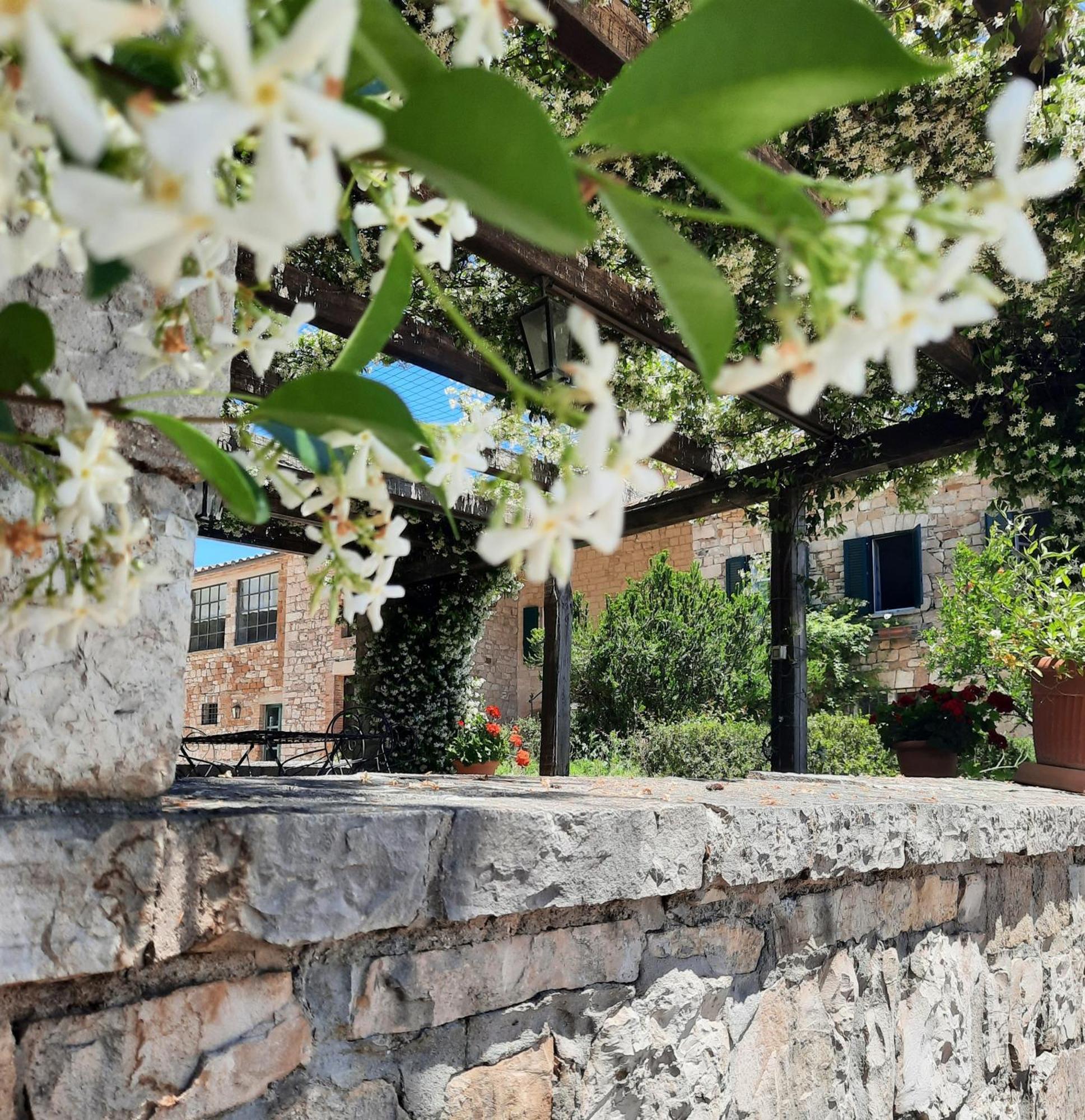Bauernhof Agriturismo Tenuta Conti Faina Fratta Todina